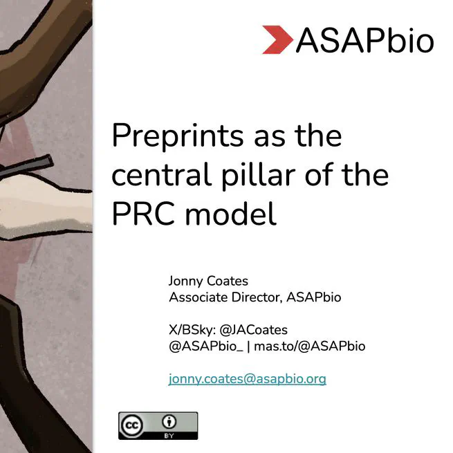 Preprints as the central pillar of the PRC model