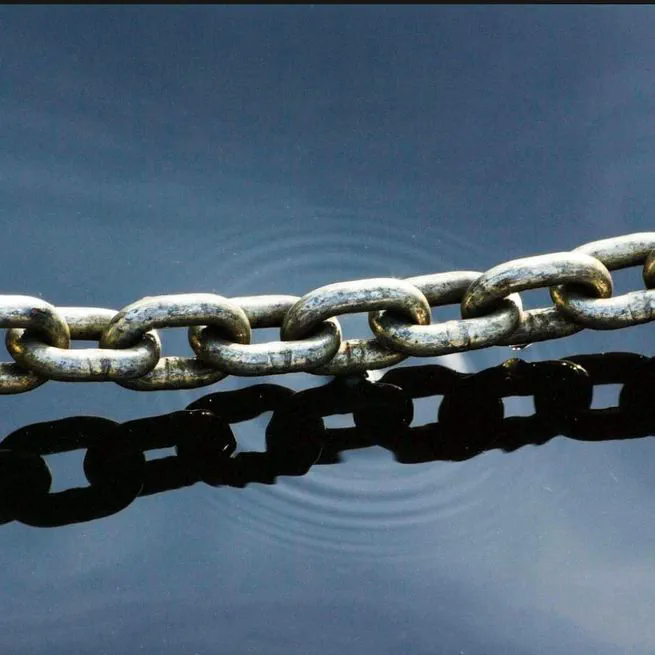 Connecting reform movements: linking research culture, trust and open-research publishing